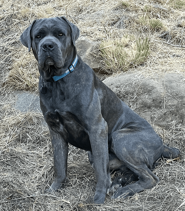 Broc - Founder of CostFunction